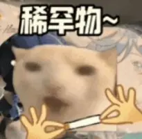 火箭潜在首发