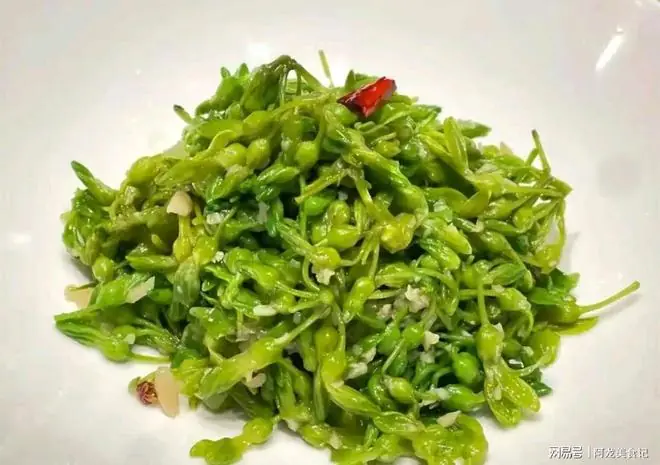 炝拌夜来香成品图