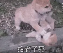 决战在即